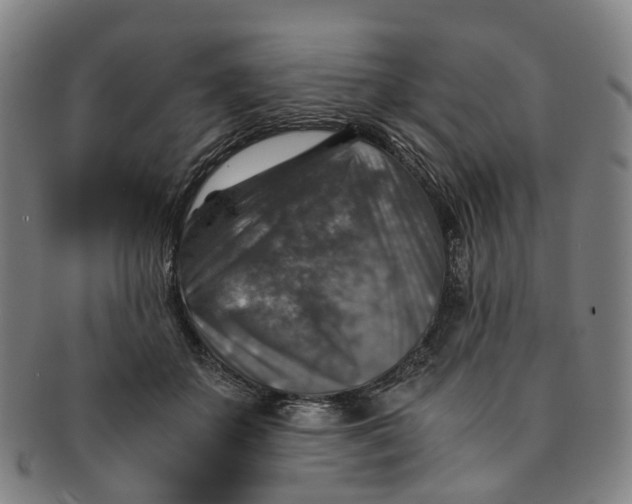 X0000091010507200708241515