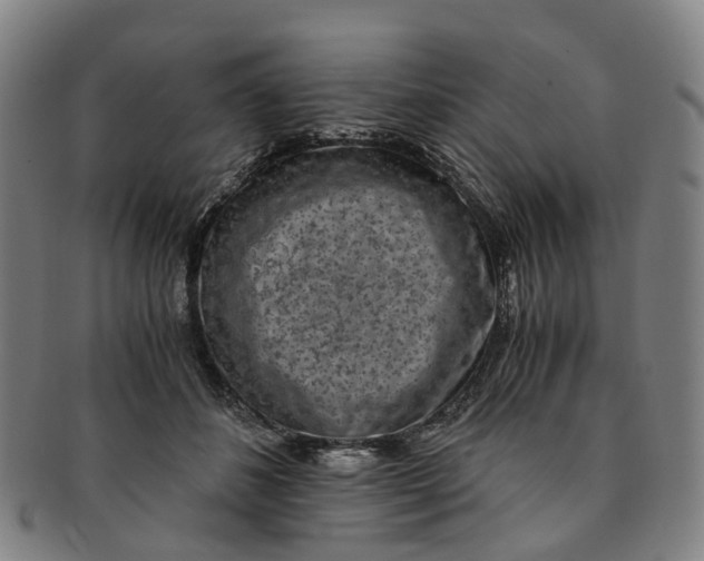 X0000091010508200708241515