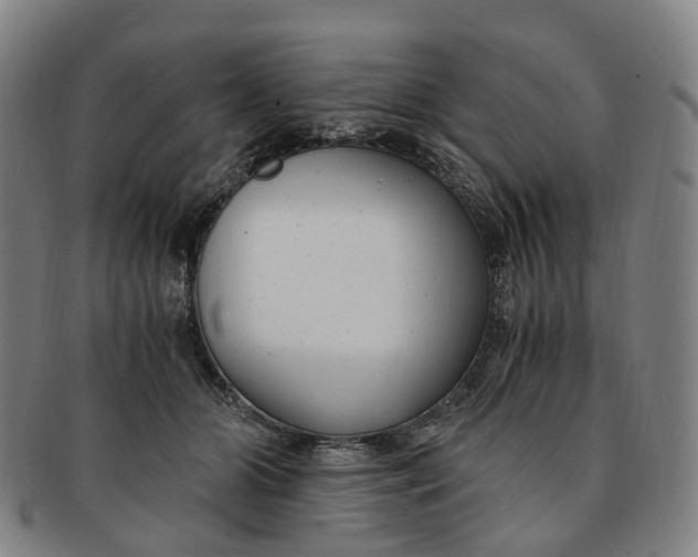 X0000091010510200708241515