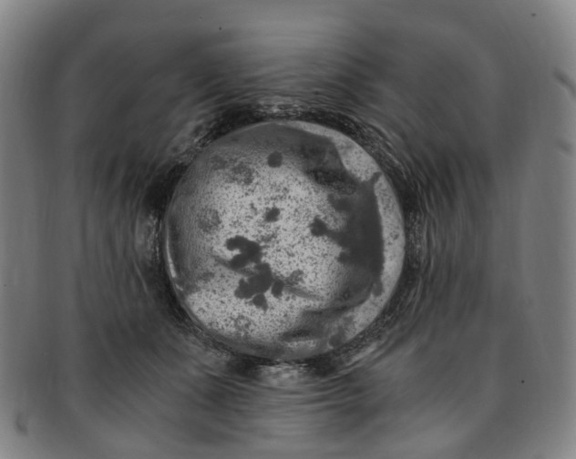 X0000091010511200708241515