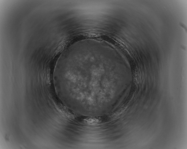 X0000091010512200708241515