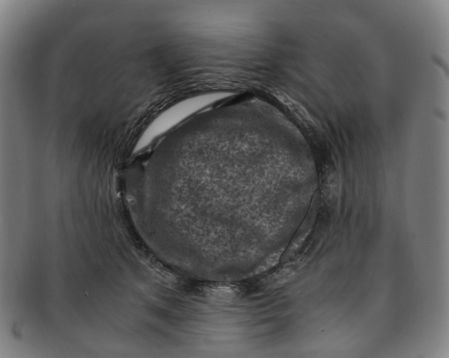 X0000091010513200708241515