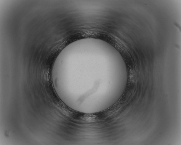 X0000091010514200708241515