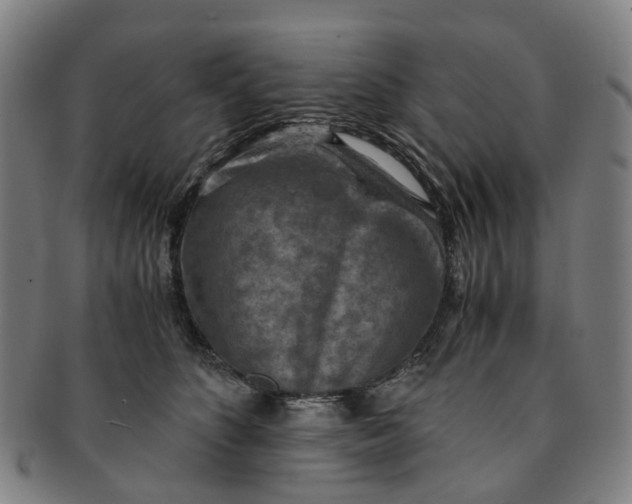 X0000091010516200708241515