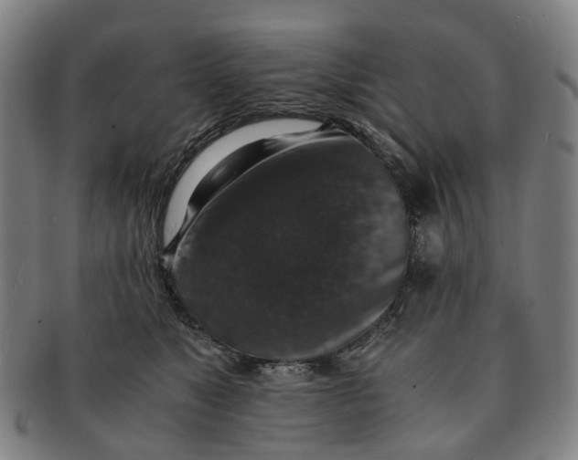 X0000091010517200708241515