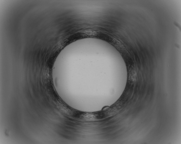 X0000091010518200708241515