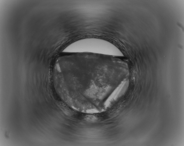 X0000091010519200708241515