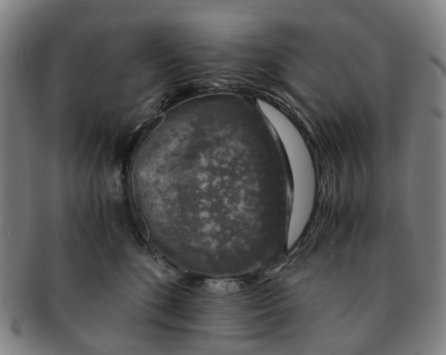 X0000091010520200708241515