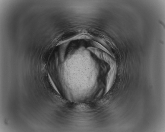 X0000091010521200708241515