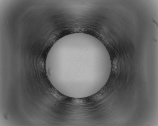 X0000091010522200708241515