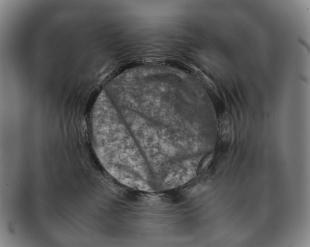 X0000091010523200708241515