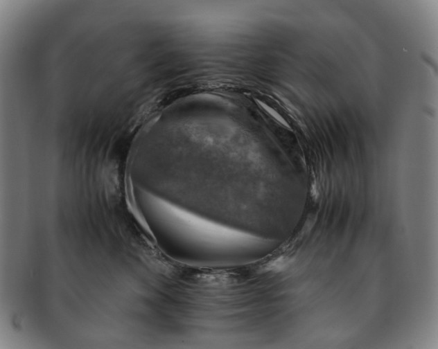 X0000091010524200708241515