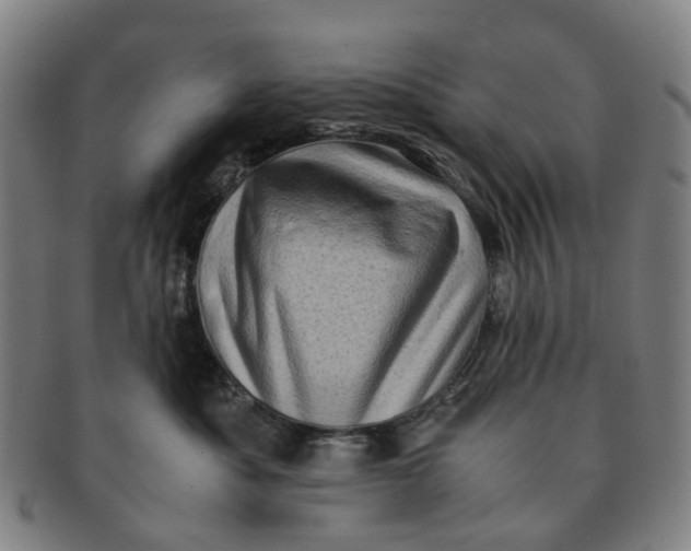 X0000091010525200708241515