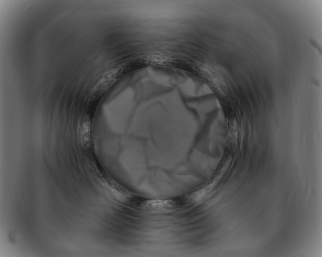 X0000091010526200708241515