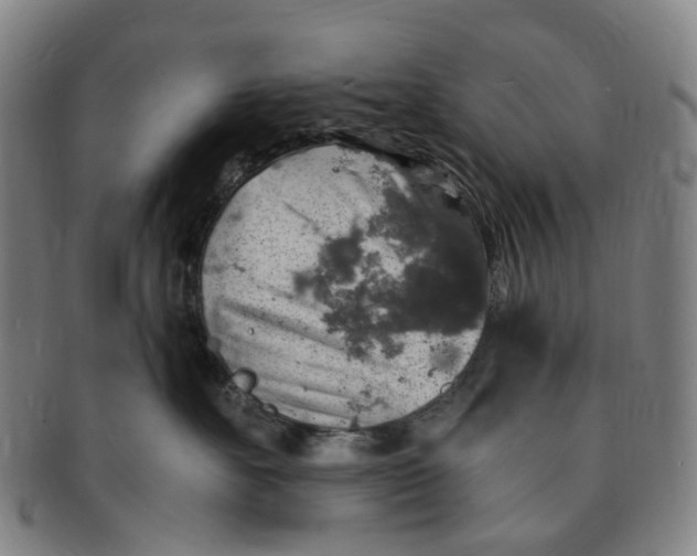 X0000091010527200708241515