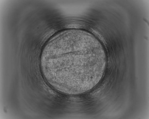 X0000091010529200708241514