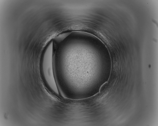 X0000091010530200708241514