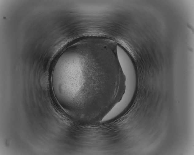 X0000091010531200708241514