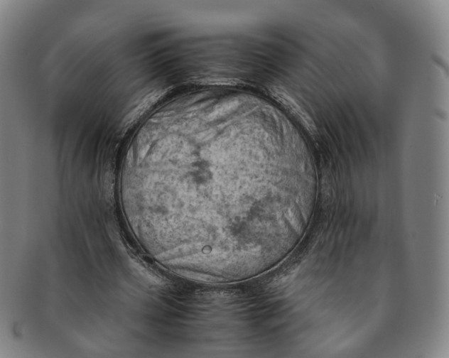 X0000091010533200708241514