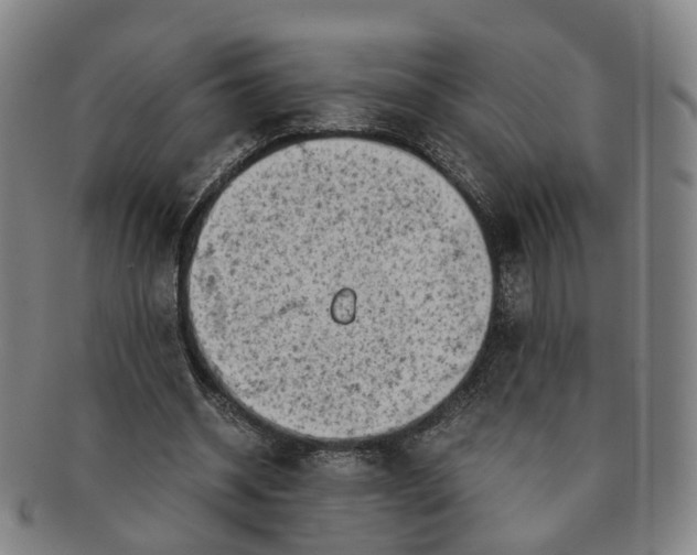 X0000091010534200708241514