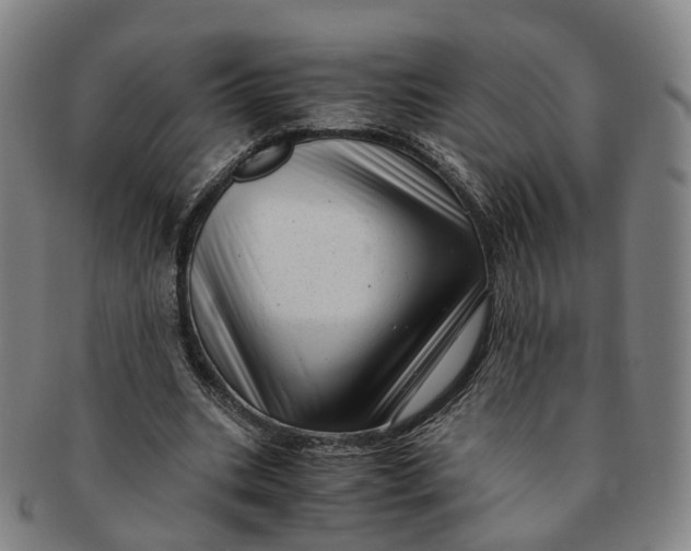 X0000091010535200708241514