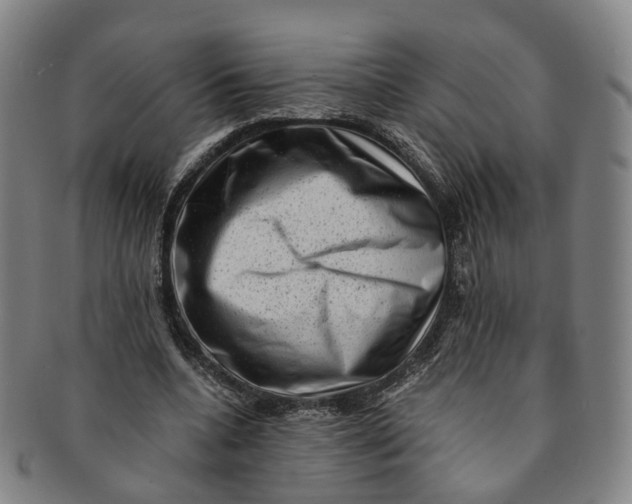 X0000091010536200708241514