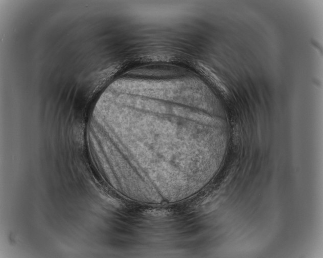 X0000091010537200708241514