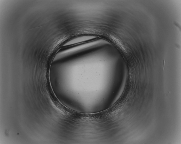 X0000091010538200708241514