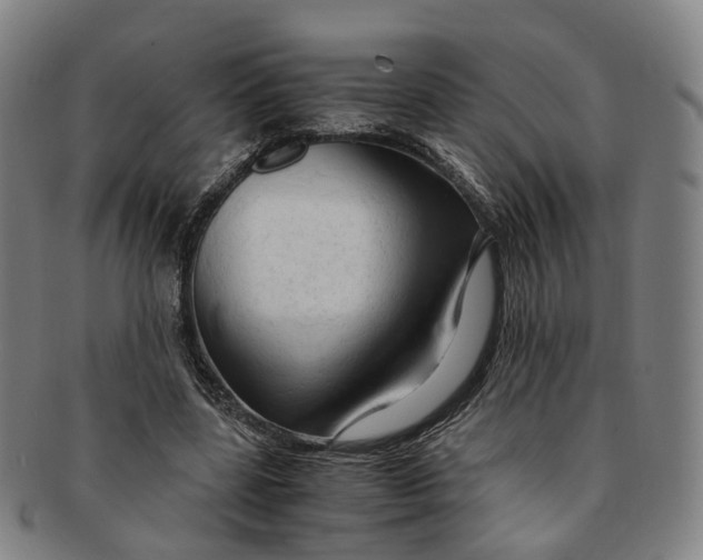 X0000091010539200708241514