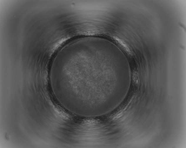 X0000091010540200708241515