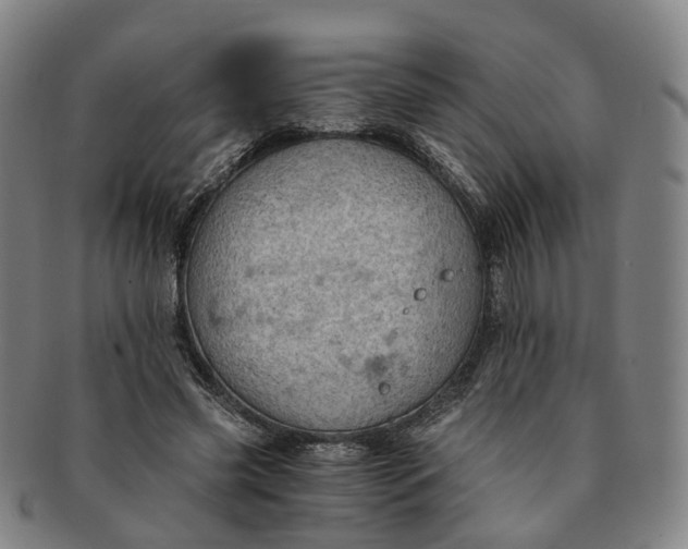 X0000091010541200708241515