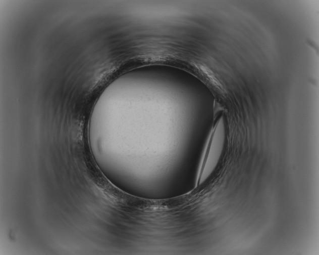 X0000091010543200708241515