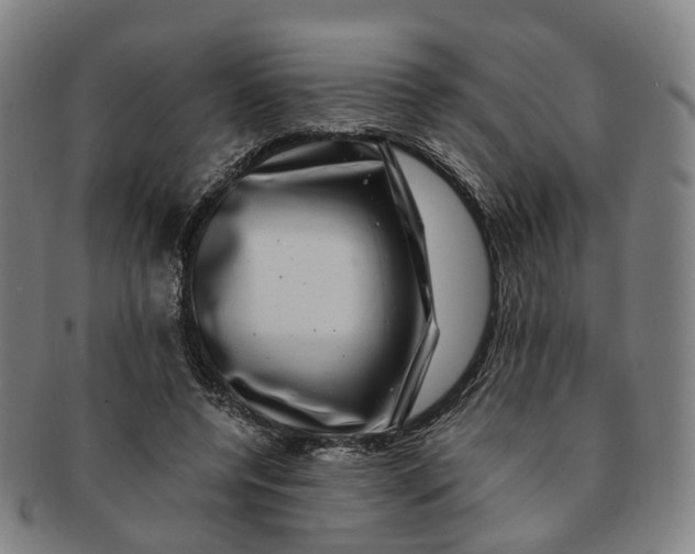 X0000091010544200708241515