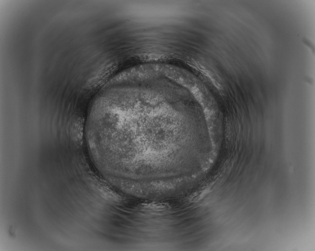 X0000091010545200708241515