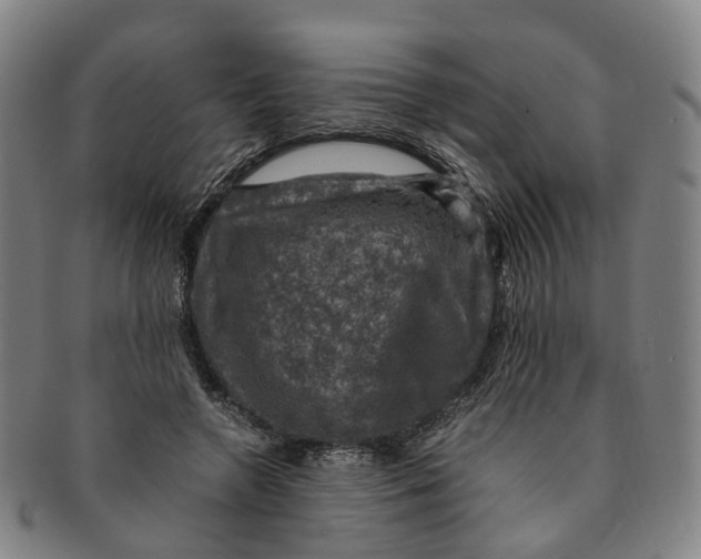 X0000091010546200708241515