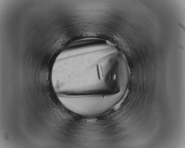 X0000091010548200708241515