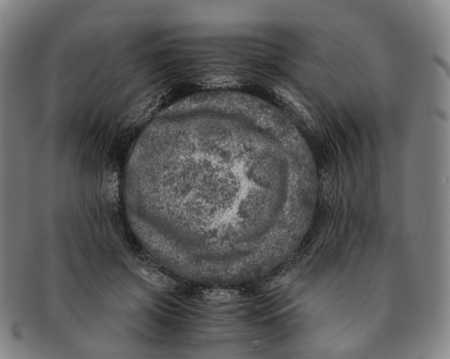 X0000091010549200708241515