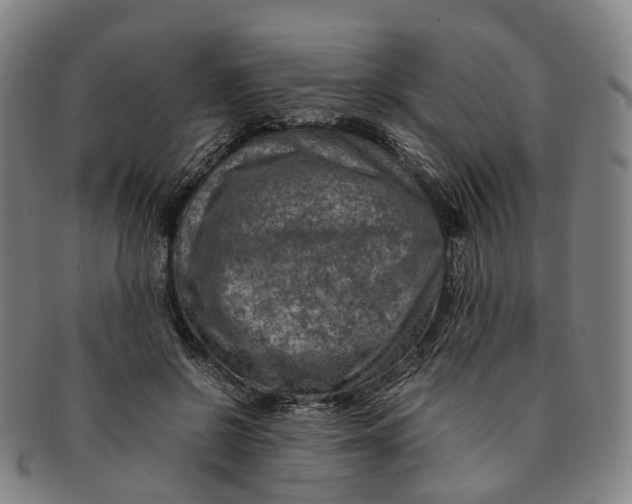 X0000091010550200708241515