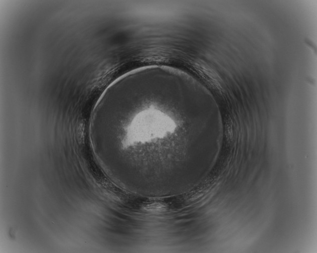 X0000091010551200708241515