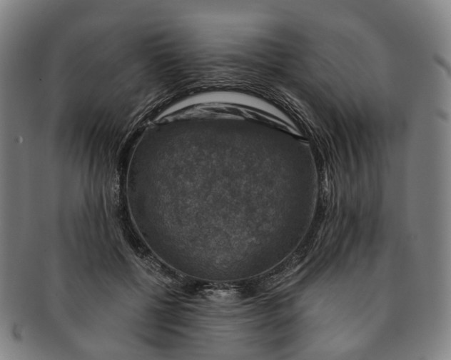 X0000091010552200708241515