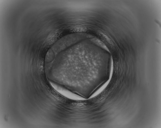 X0000091010553200708241515