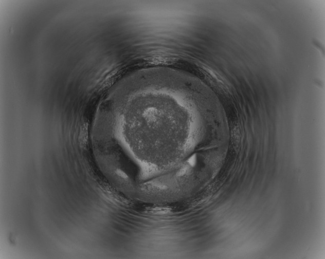 X0000091010554200708241515