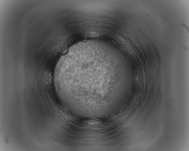 X0000091010555200708241515