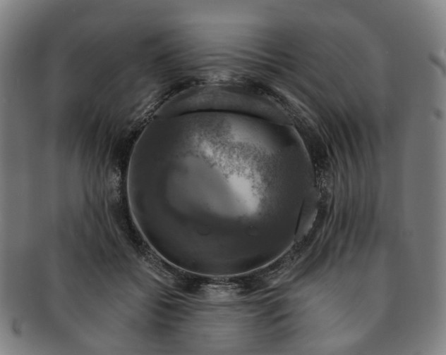 X0000091010556200708241515