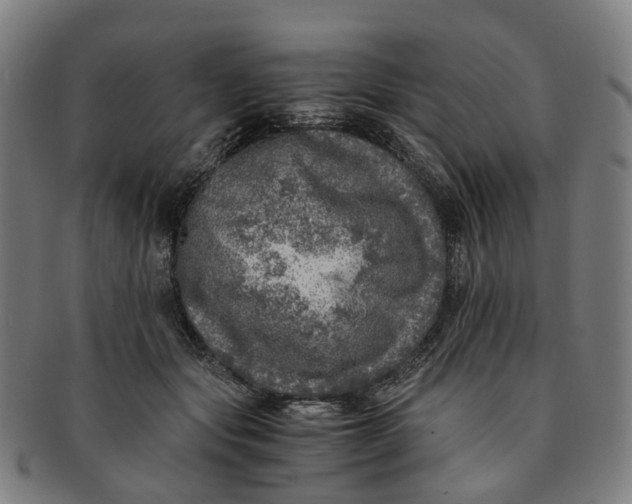 X0000091010557200708241515