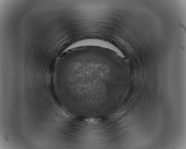 X0000091010558200708241515