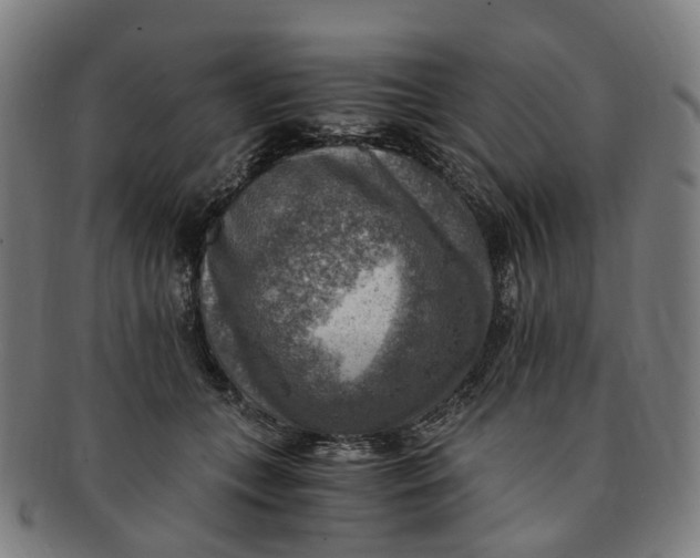 X0000091010559200708241515