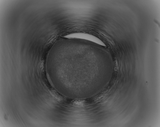 X0000091010560200708241515