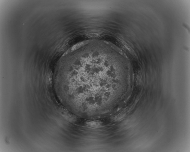 X0000091010561200708241515