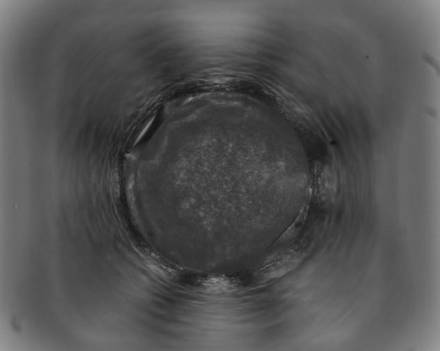 X0000091010562200708241515